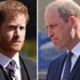 Prince Harry and Prince William head-to-head once again
