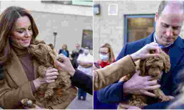 Kate and William meet a cockapoo puppy in Clitheroe Community Hospital