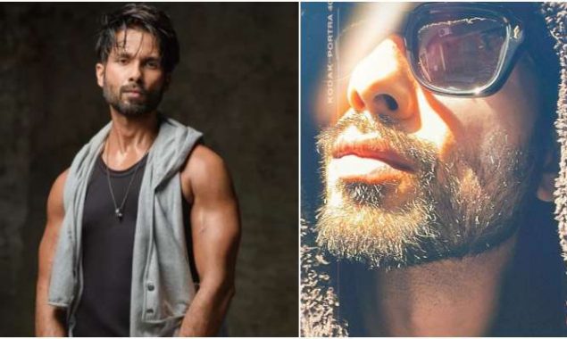 Shahid Kapoor raises the temperature on internet in rugged beard look