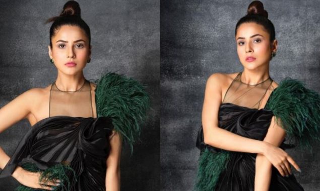 Shehnaaz Gill drops pictures in a glamorous mini dress; take a look!