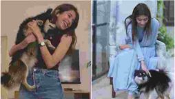 Syra Yousuf caught on camera patting her fur baby