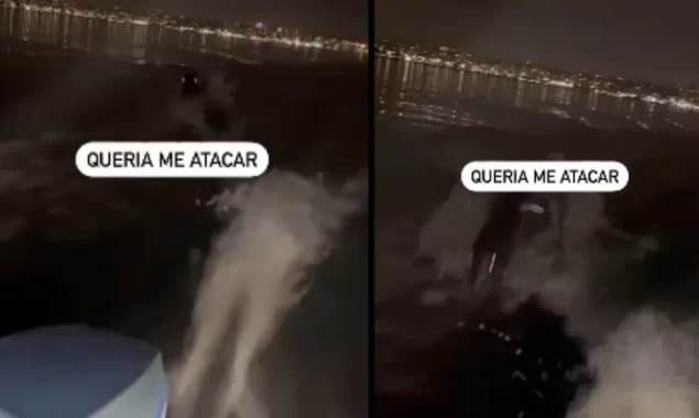 WATCH Terrifying Video | Mysterious sea creature with glowing eyes chases fisherman