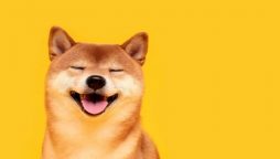 Shiba inu price prediction