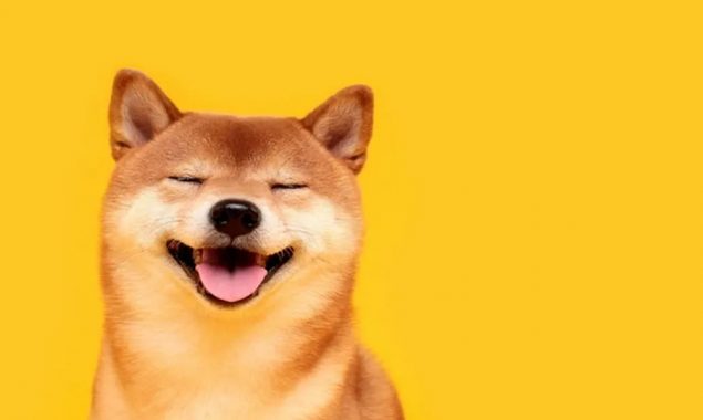 Shiba Inu to PKR: Today Shiba Inu to Pakistani Rupees on, 8 March 2022