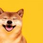 Shiba Inu to PKR: Today Shiba Inu to Pakistani Rupees on, 8 March 2022