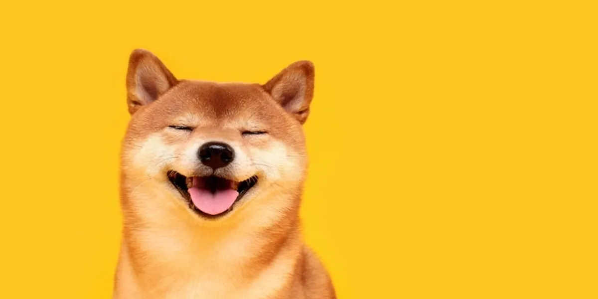 Shiba inu price prediction