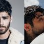 Zayn Malik joins dating app to find love after split with Gigi Hadid