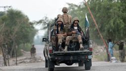 Security forces kill four terrorists in Tank: ISPR