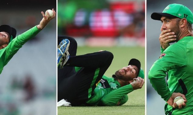 BBL 11: With a sensational catch, Glenn Maxwell amazes everyone, watch
