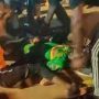 Eight dead in Africa Cup of Nations Cameroon stadium crush