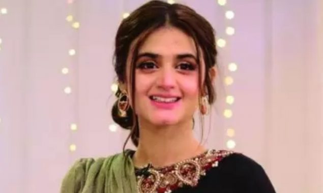 Hira Mani recovers from covid-19