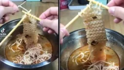 Knitting Noodles