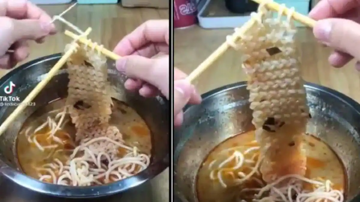 Knitting Noodles
