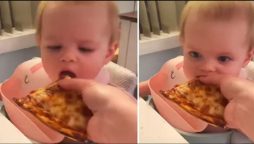 Watch a toddler try pizza first time, her reaction is priceless