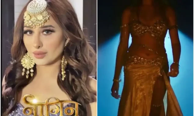 Naagin 6: Who is the new lead? Nia Sharma, Mouni Roy or Divyanka Tripathi