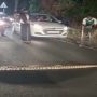 Spotted: Python at Kochi’s Seaport-Airport Road, halting traffic