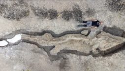Watch: 180 million-year-old “sea dragon” fossil discovered by scientists