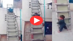 ladder