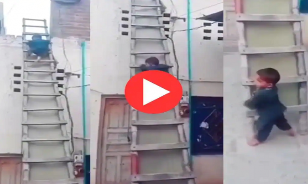 Watch: Toddler climbs down the ladder like a ninja