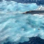 Watch: US Navy Stealth Fighter Jet crash into the South China Sea