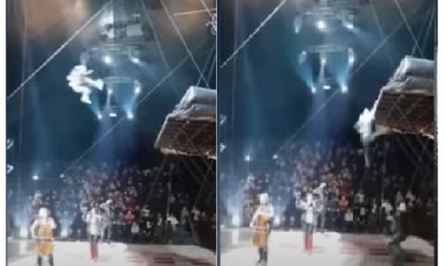 Circus performer falls 20 feet to the earth after a rollerblading stunt
