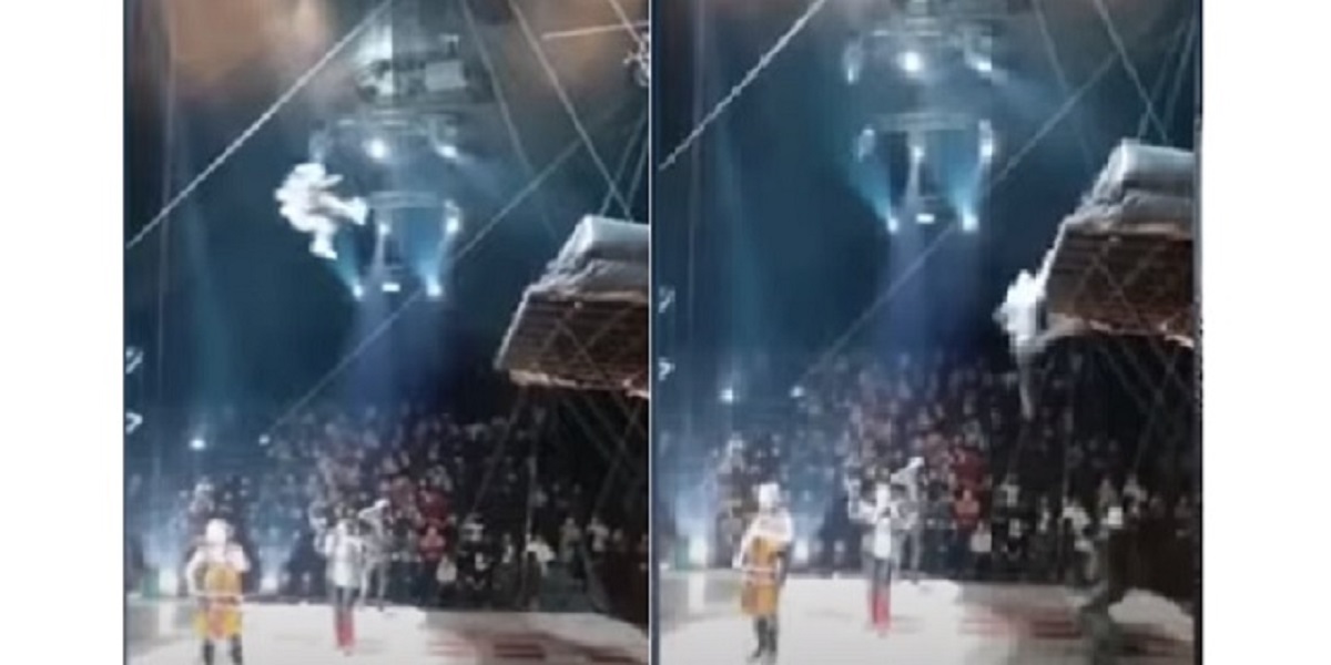 Circus