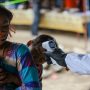 Nepal reimposes restrictive measures over surging COVID-19 cases