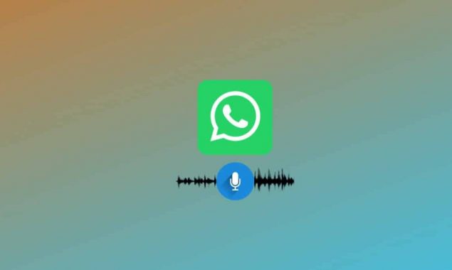 Pause Voice Message