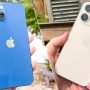 iPhone 13 Pro  vs iPhone 13: Which should you buy in 2022?