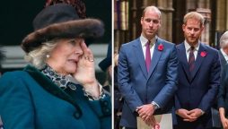 Prince Harry will be ‘mad’ with Camilla as Queen consort, Princess Diana’s friend