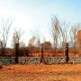 Parts of iron fence stolen at F-9 Park