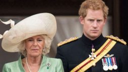Prince Harry's