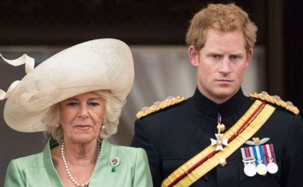 With his honest feelings regarding Camilla, Prince Harry’s book will’shake royals to their core.’