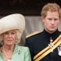 With his honest feelings regarding Camilla, Prince Harry’s book will’shake royals to their core.’