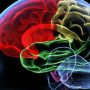 Pakistani student grateful for Chinese support in battle against deadly brain disease