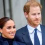 ‘Prince William is admired, but Harry is pitied,’ one expert