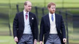 Prince Harry and Prince William will attend the Queen’s Platinum Jubilee celebrations