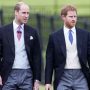 Prince Harry and Prince William will attend the Queen’s Platinum Jubilee celebrations