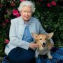 Queen Elizabeth is said to be releasing a fragrance for dogs that smells like ‘coastal walks.’