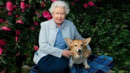 ‘Coastal Walks,’ a new scent by Queen Elizabeth, is aimed specifically for dogs