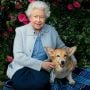 ‘Coastal Walks,’ a new scent by Queen Elizabeth, is aimed specifically for dogs