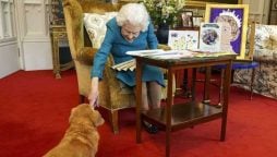 Queen Elizabeth