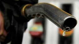 petroleum prices