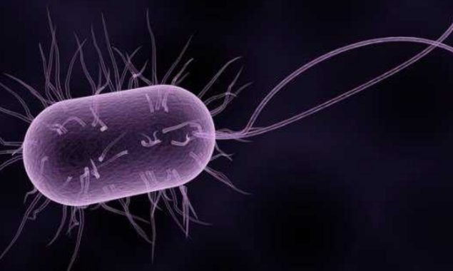 19 people die of leptospirosis in Fiji