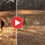 WATCH VIDEO: Kangaroo Kicks and Punches Man Attempting to Save His Dog, Too Funny 