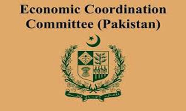 ECC approves Rs8.2 billion Ramazan package, Rs5,700/40kg support price for cottonseed