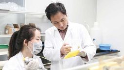 chinese researchers