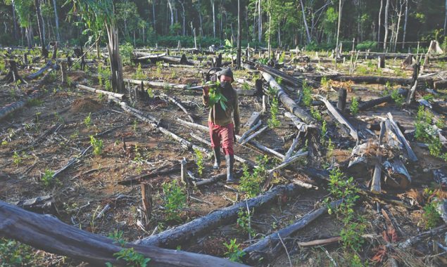 How native culture protects Colombia’s Amazon