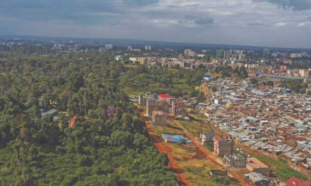 Kenya criticises for failure in forest protection