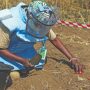 Lives and livelihoods at risk